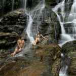 Gallery Thumbnail 4