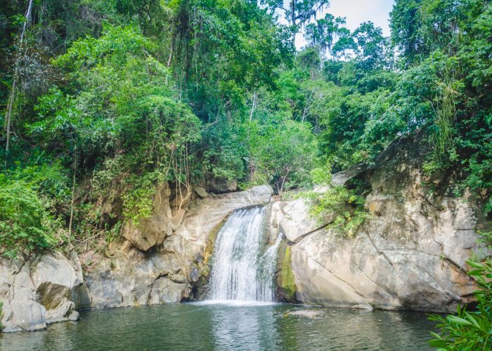 Vereda San Martín Vereda San Martín