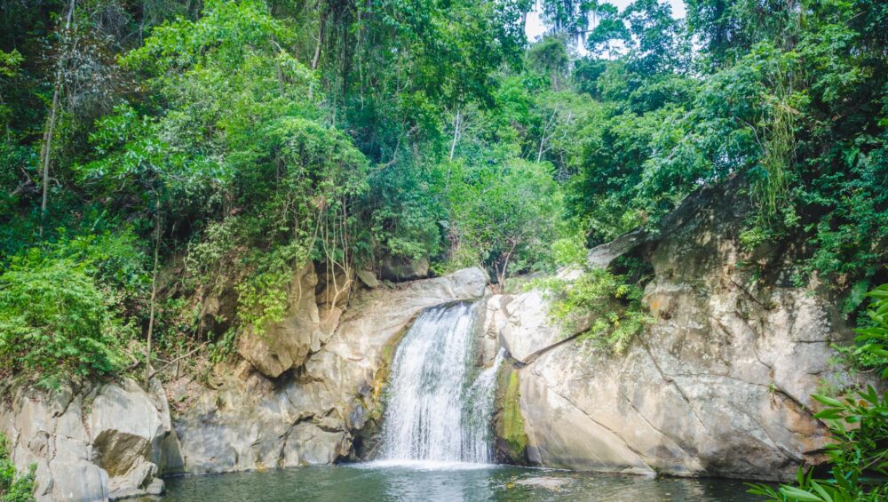 Vereda San Martín